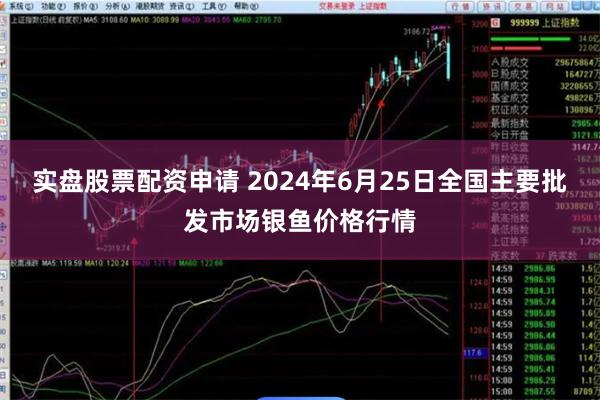 实盘股票配资申请 2024年6月25日全国主要批发市场银鱼价格行情