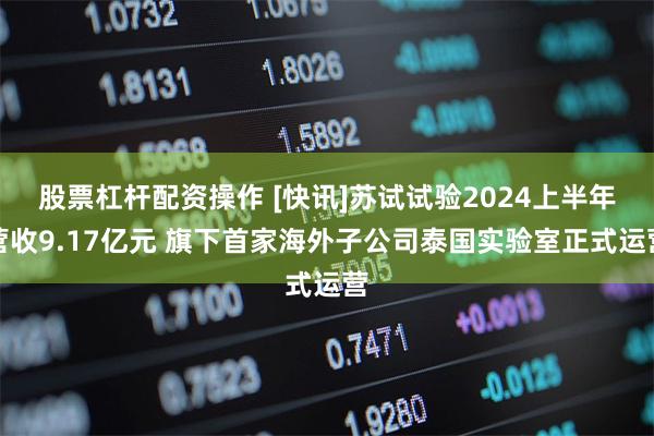 股票杠杆配资操作 [快讯]苏试试验2024上半年营收9.17